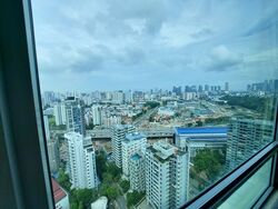 Park Infinia At Wee Nam (D11), Condominium #621714501